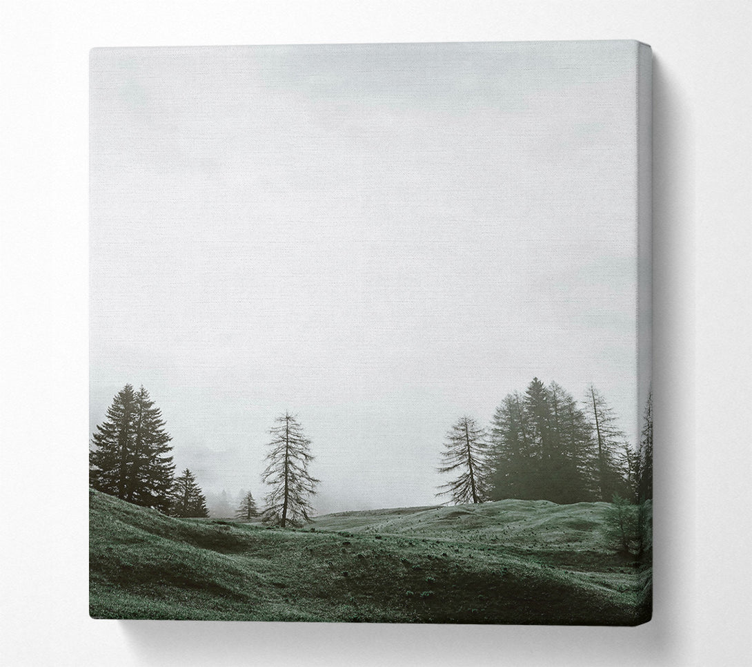 A Canvas Print of Green Mist Valley Canvas Wall Art