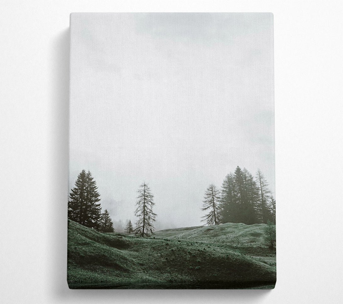  A Canvas Print of Green Mist Valley Canvas Wall Art