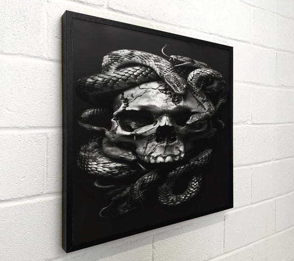 Silver Skull Embrace