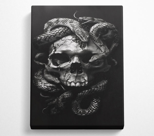  A Canvas Print of Silver Skull Embrace Canvas Wall Art