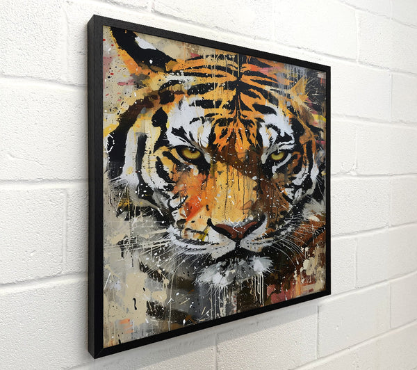 Orange Tiger Stare
