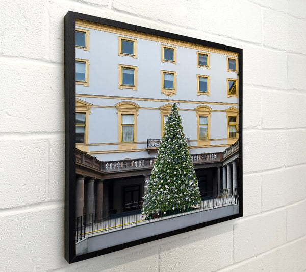 Green Christmas Courtyard