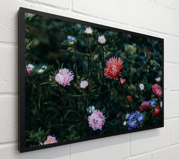 Pink Blooms In Green
