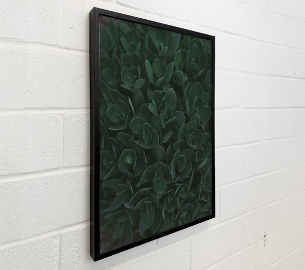 Emerald Green Embrace