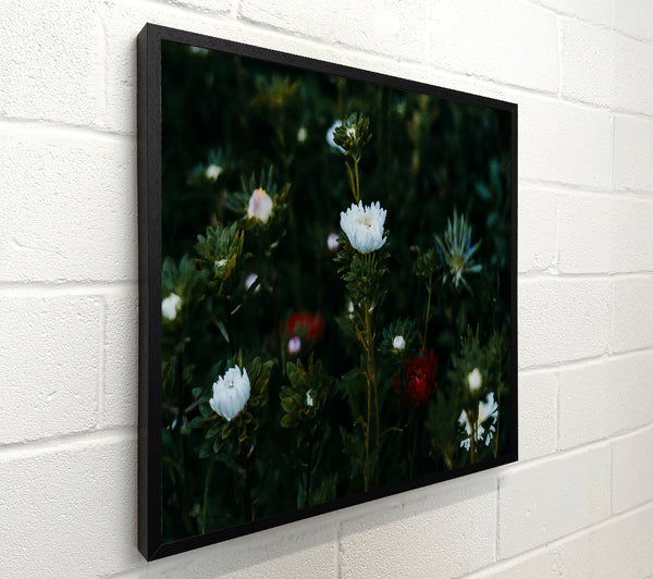 White Blooms In The Dark Green