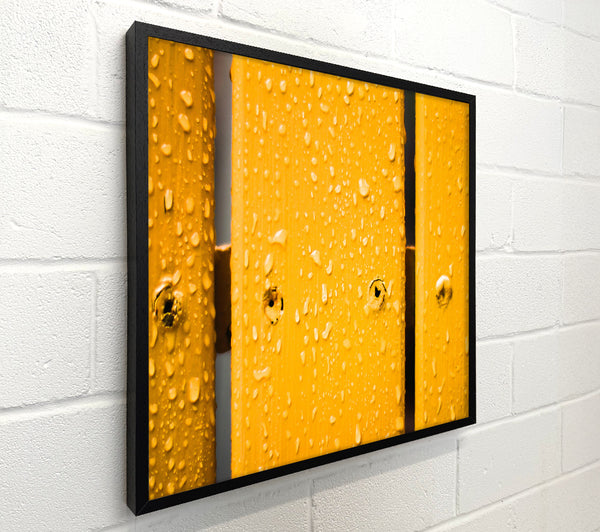 Golden Raindrops On Wood