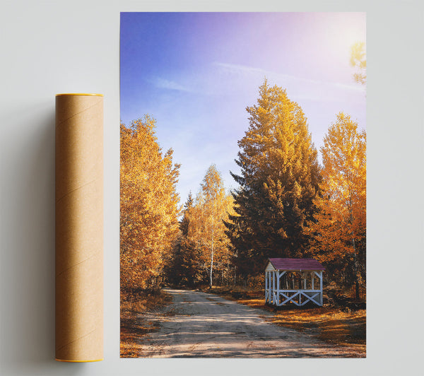 Golden Autumn Gazebo Print