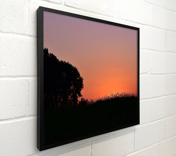 Silhouetted Tree At Sunset