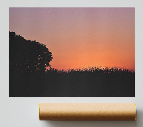 Silhouetted Tree At Sunset Giclee Print