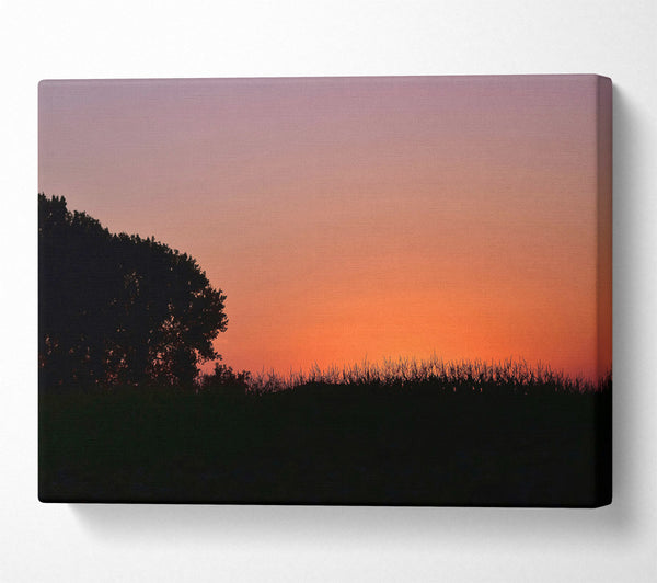  A Canvas Print of Silhouetted Tree At Sunset Canvas Print