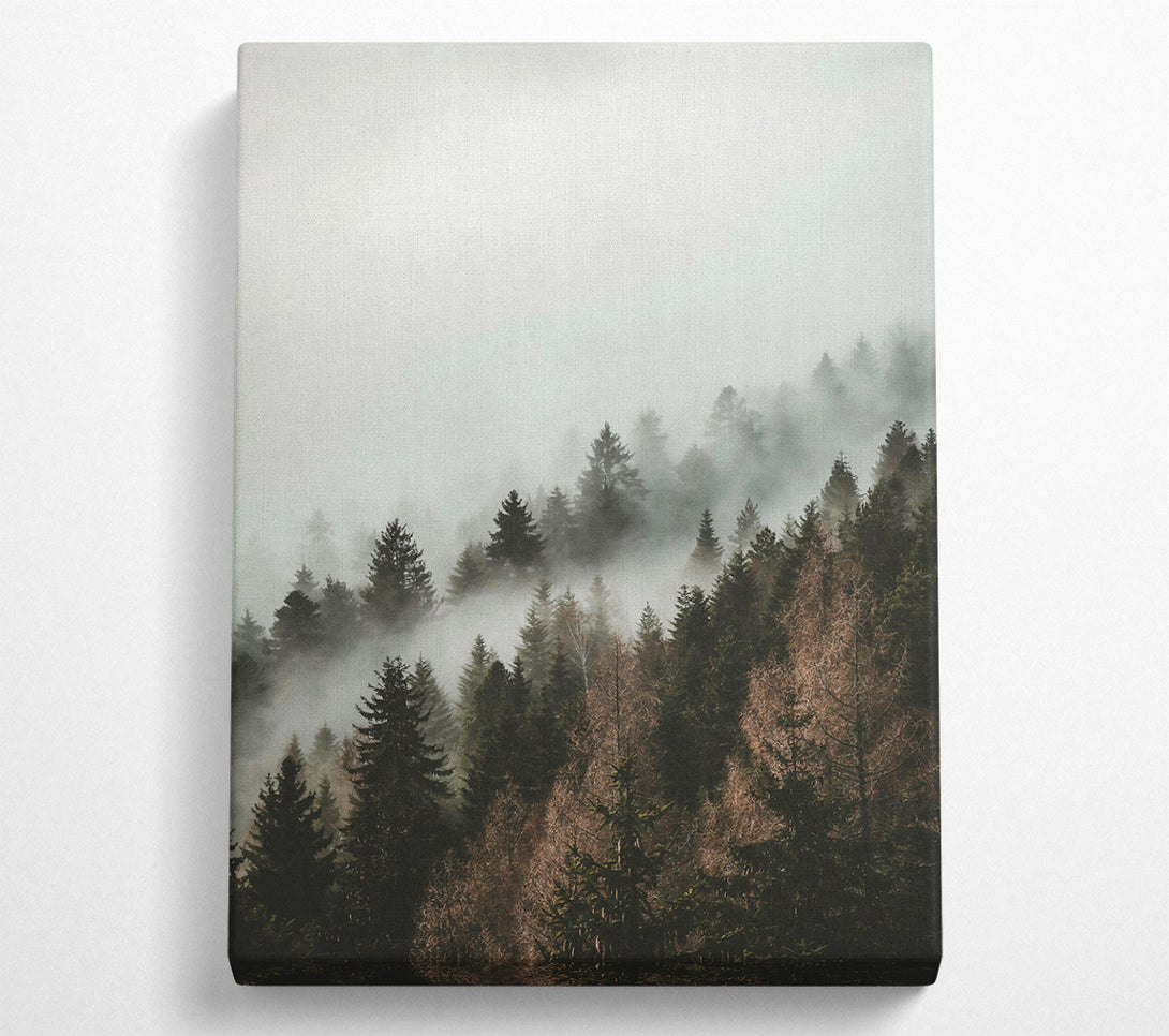  A Canvas Print of Green Mist Forest Canvas Print