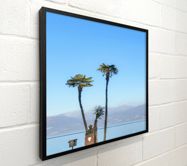 Azure Palm Oasis