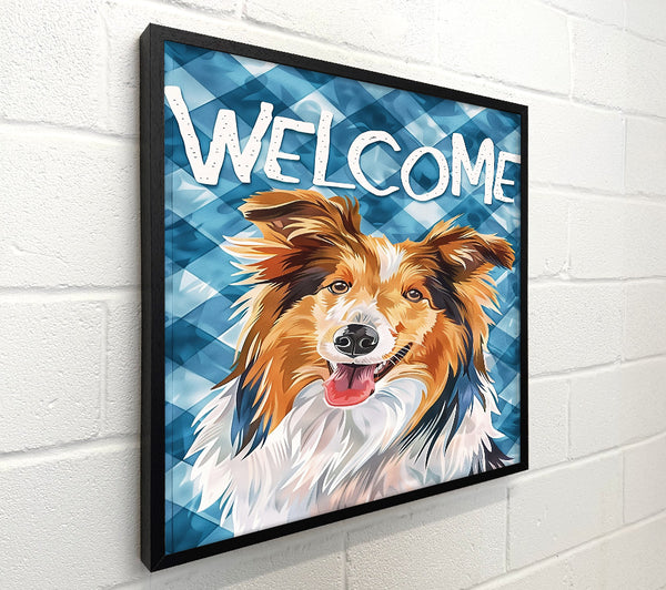 Blue Welcome Collie