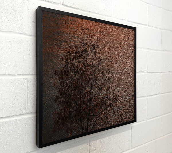 Copper Water Reflections