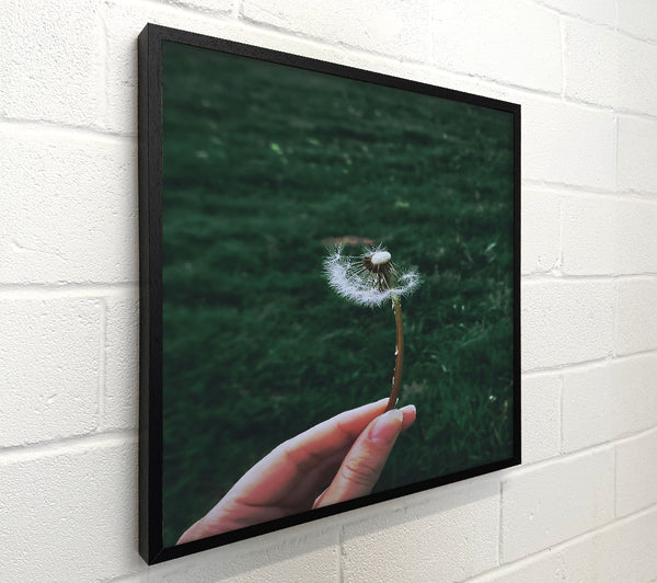 Emerald Wish