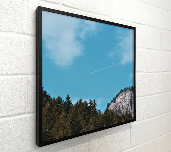 Azure Sky Pines