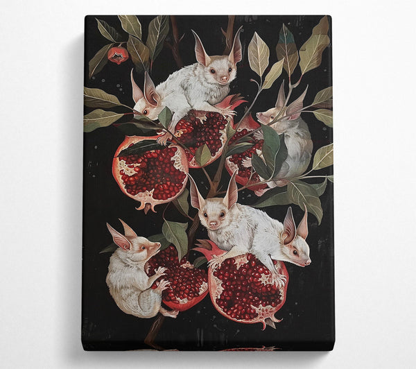 A Canvas Print of Crimson Fruit Bats Canvas Print