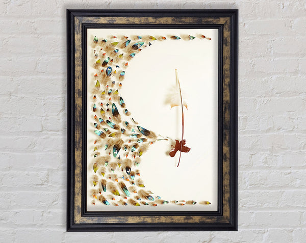 Feather Flow Framed Print
