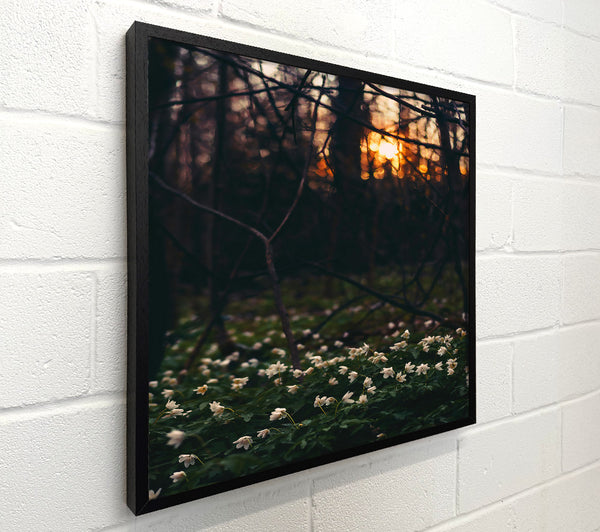 Golden Forest Bloom