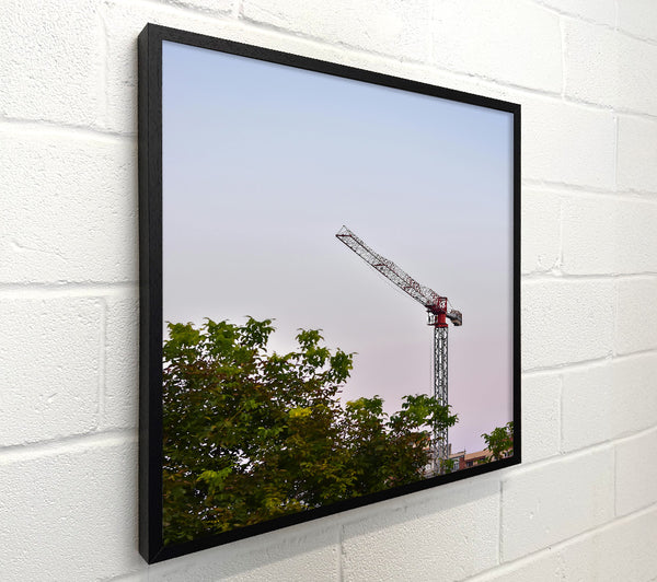 Red Crane In Fog