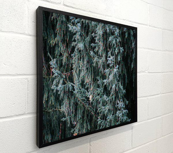 Emerald Evergreen Tapestry