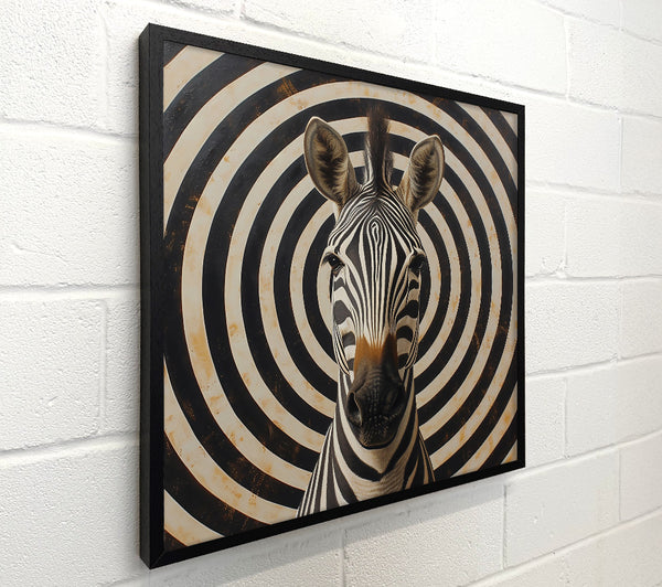 Black And White Target