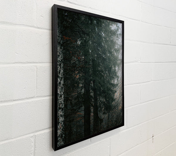 Emerald Forest Mist