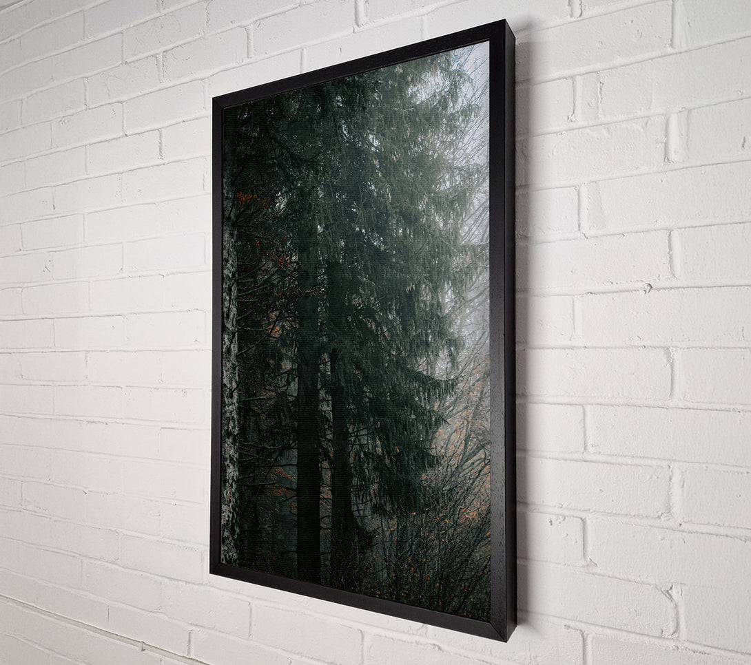  A Canvas Print of Emerald Forest Mist Canvas Wall Art