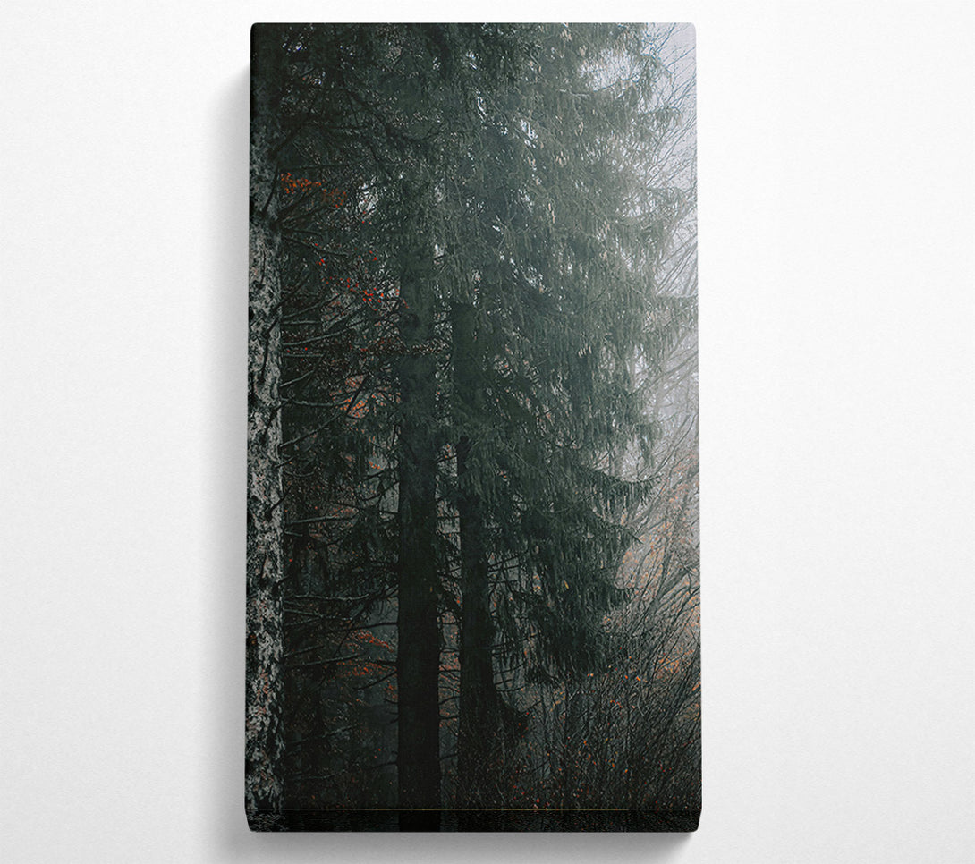  A Canvas Print of Emerald Forest Mist Canvas Wall Art