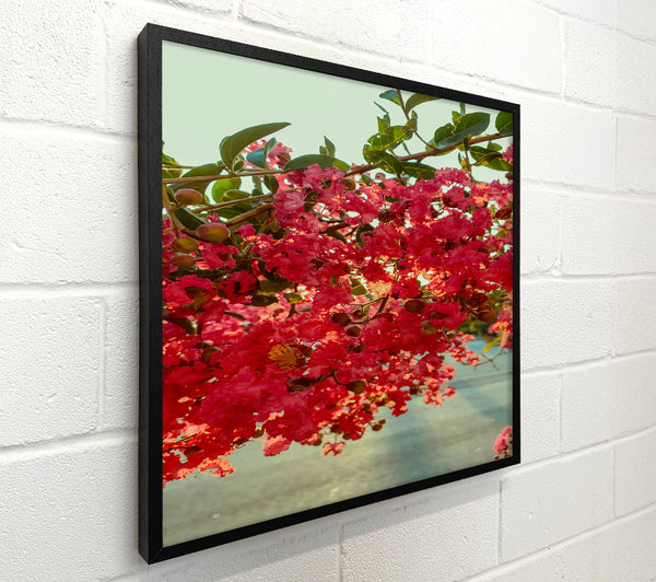 Crimson Bloom Cascade