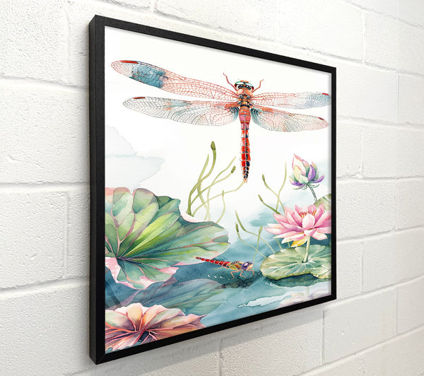 Red Dragonfly Water Lily Pond