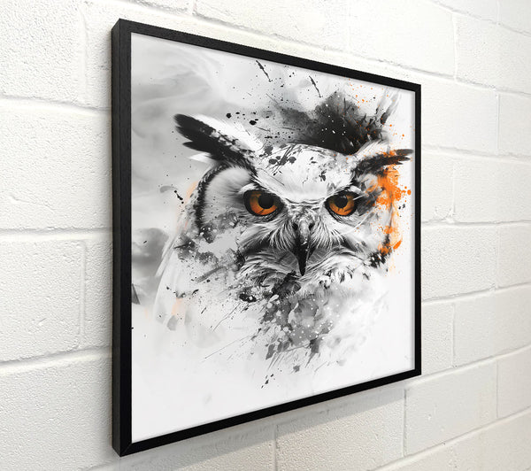 Orange Owl'S Gaze