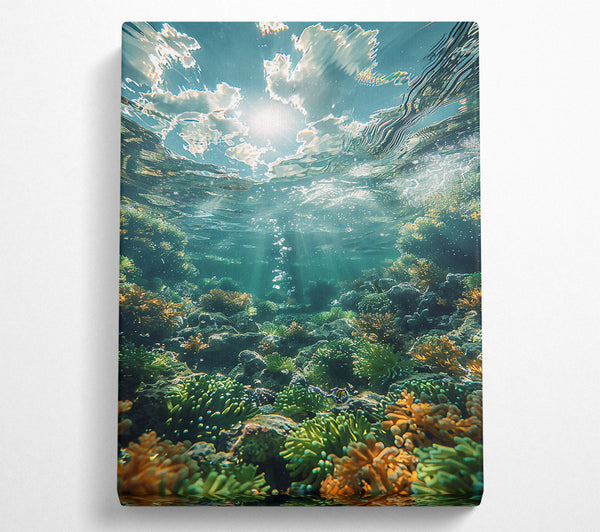  A Canvas Print of Aqua Sun'S Embrace Canvas Print