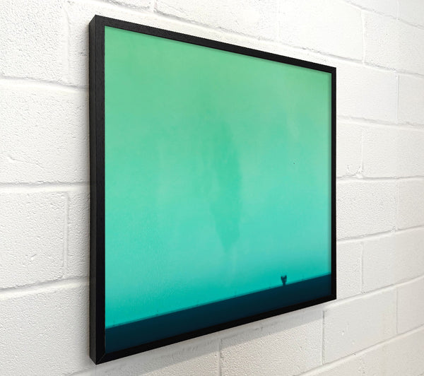Teal Horizon