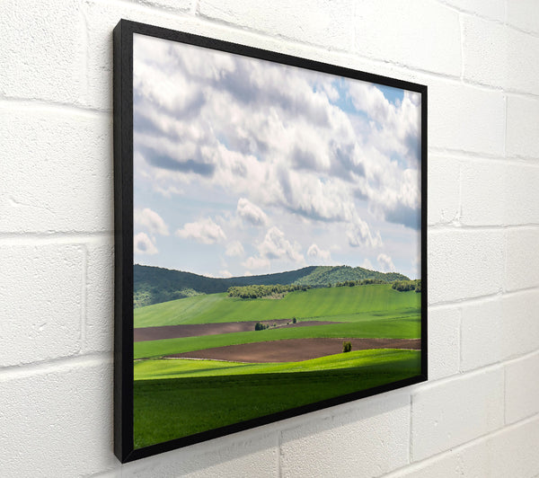 Green Rolling Hillscape