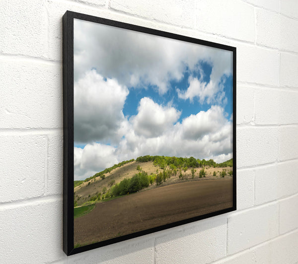 Brown Field Cloudscape