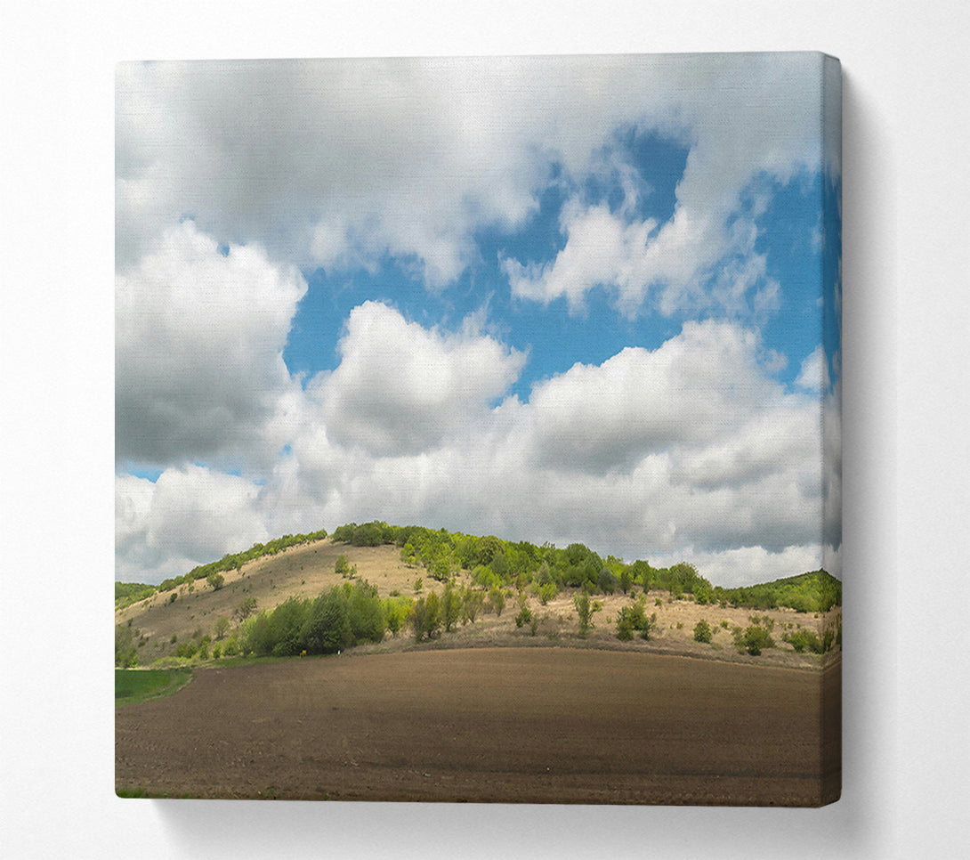  A Canvas Print of Brown Field Cloudscape Canvas Print