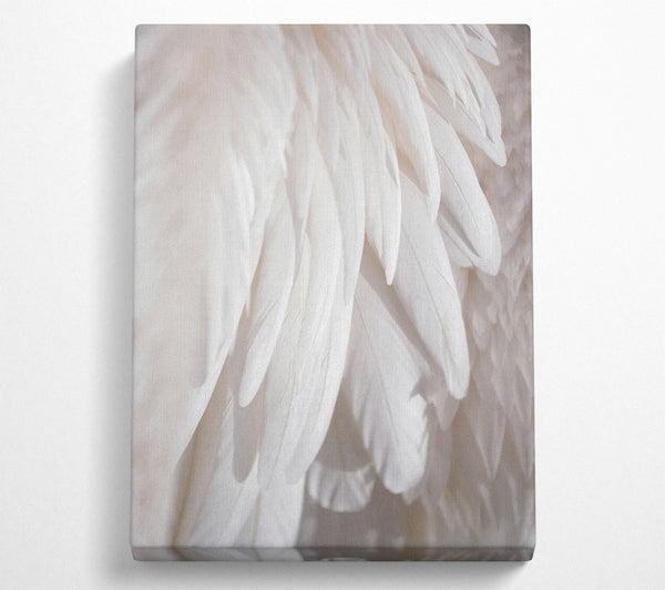  A Canvas Print of Feathers Close Up Canvas Print