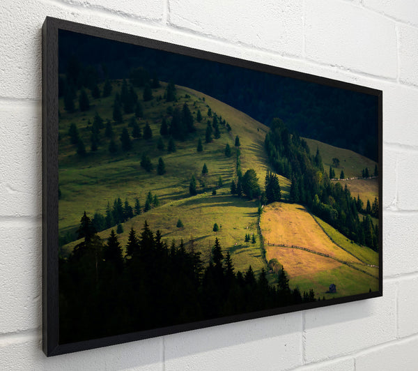 Golden Green Hillsides