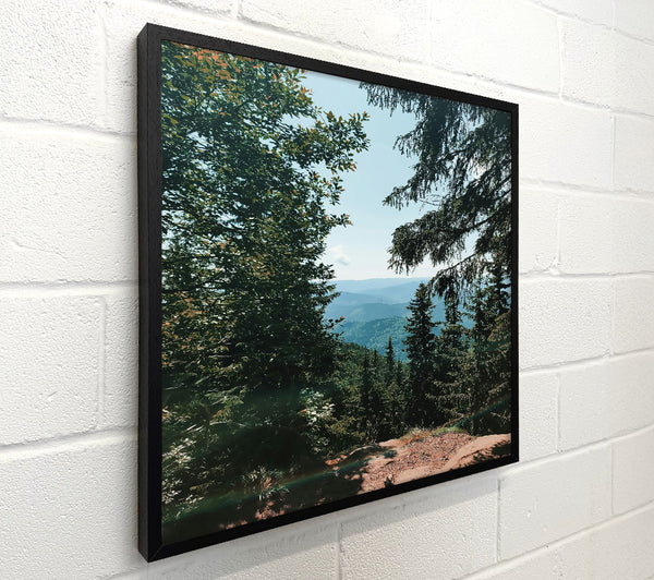 Blue Ridge View