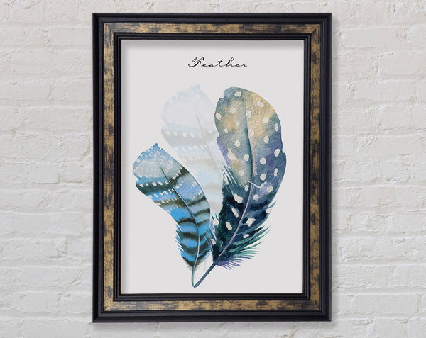 Feathers Framed Print