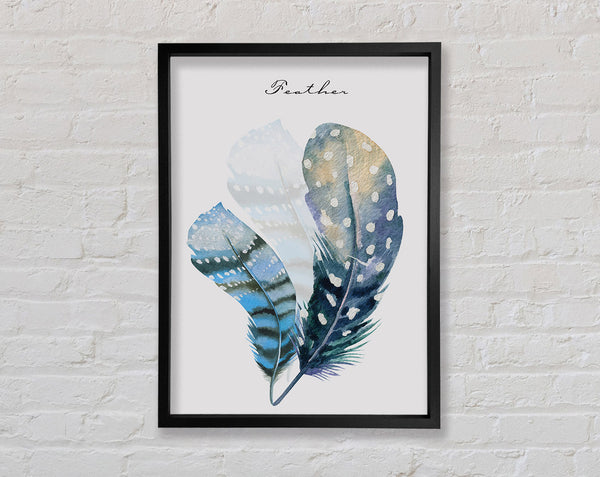 Feathers Framed Print
