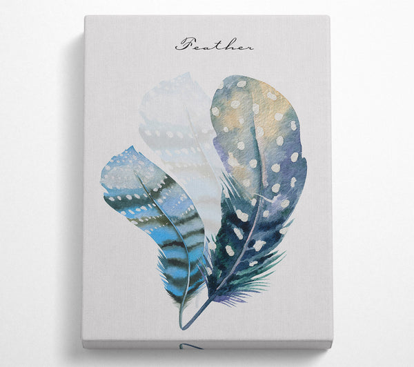  A Canvas Print of Feathers Canvas Art