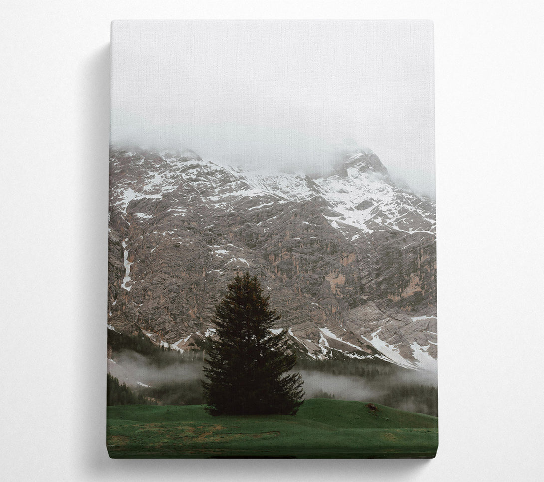  A Canvas Print of Green Mountain Mist Canvas Print