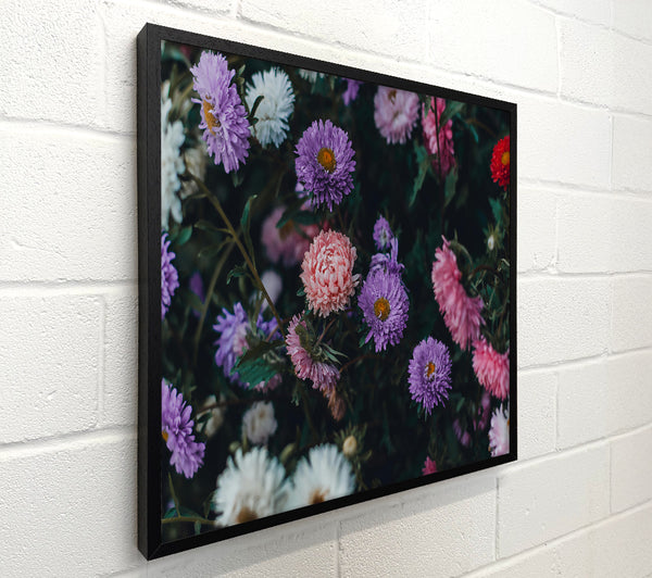 Purple Garden Blooms