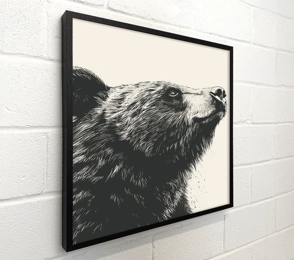 Black Bear'S Gaze