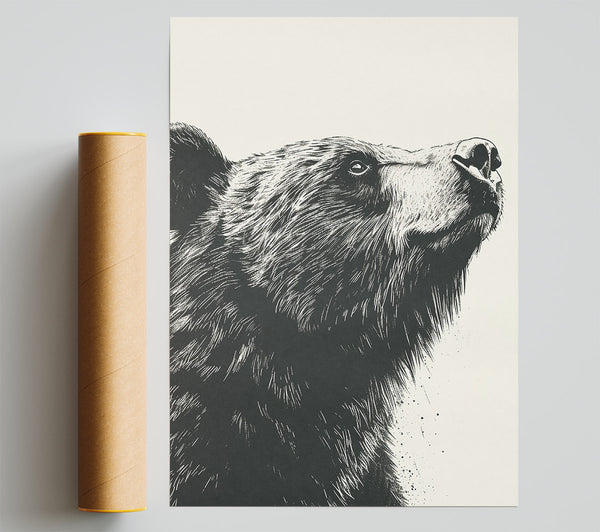 Black Bear'S Gaze Giclee Print