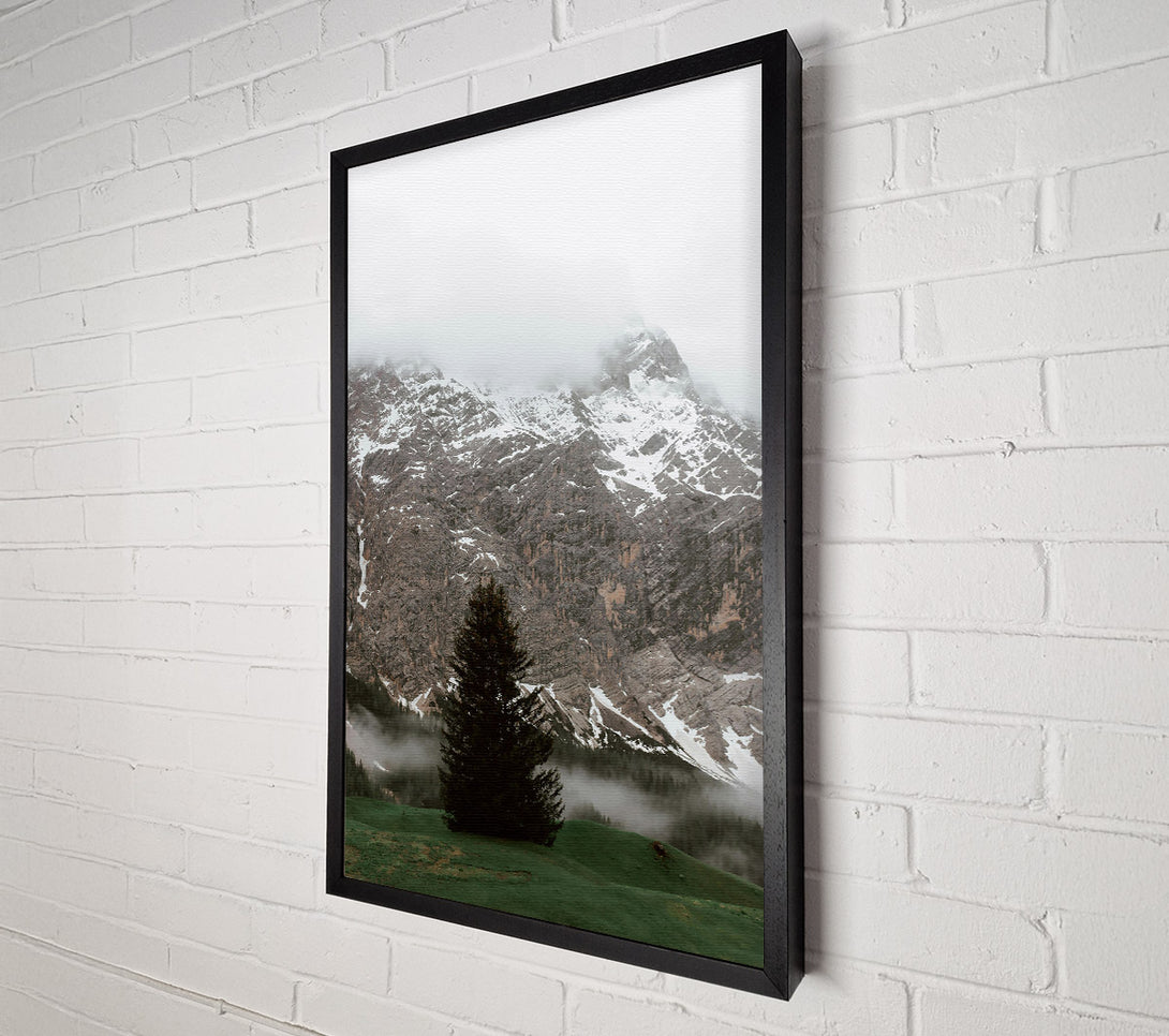  A Canvas Print of Green Mountain Solitude Canvas Art