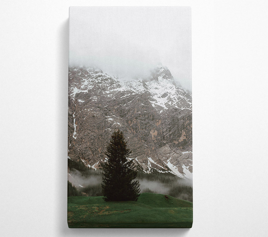  A Canvas Print of Green Mountain Solitude Canvas Art