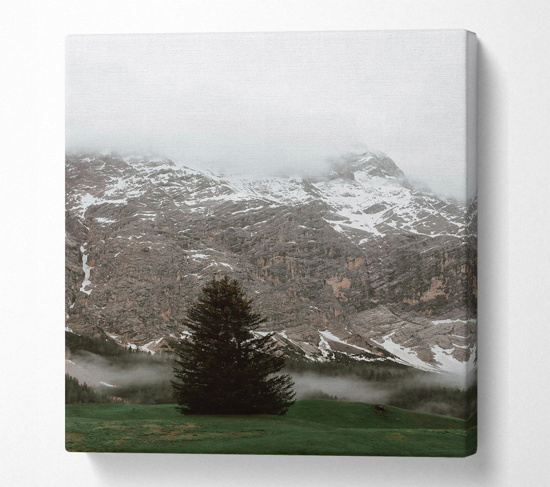  A Canvas Print of Green Mountain Solitude Canvas Art